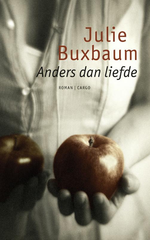 Omslag van Anders dan liefde