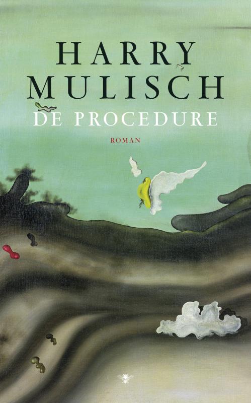 Omslag van De procedure