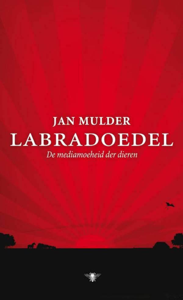 Omslag van Labradoedel