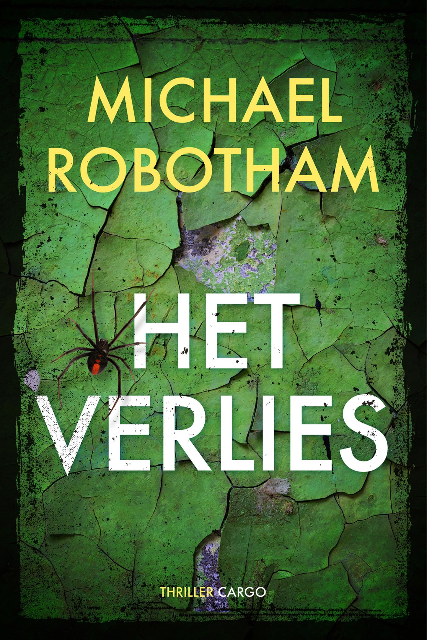 Omslag van Het verlies