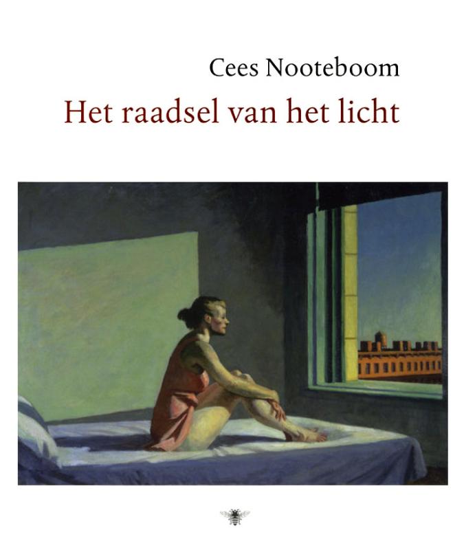 Omslag van Het raadsel van het licht