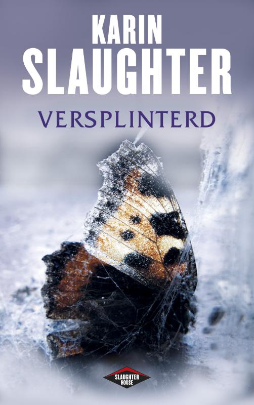 Omslag van Versplinterd