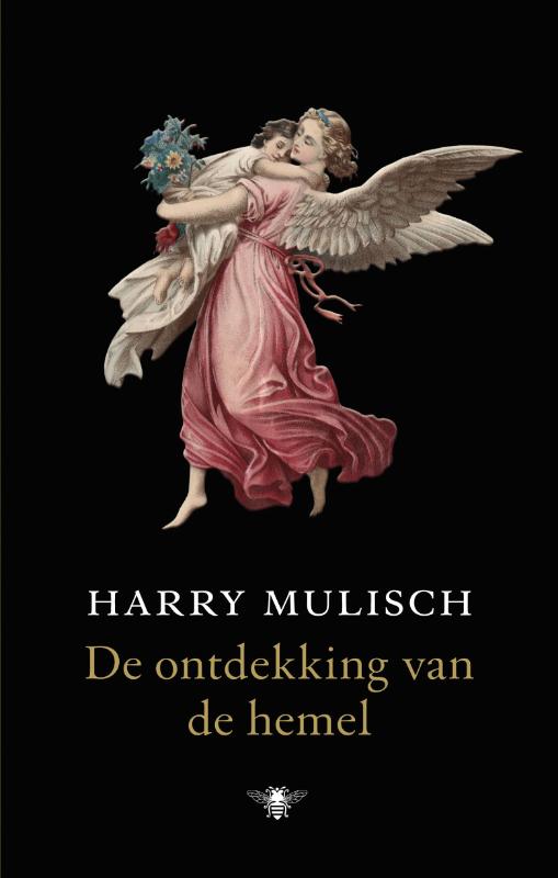 Omslag van De ontdekking van de hemel