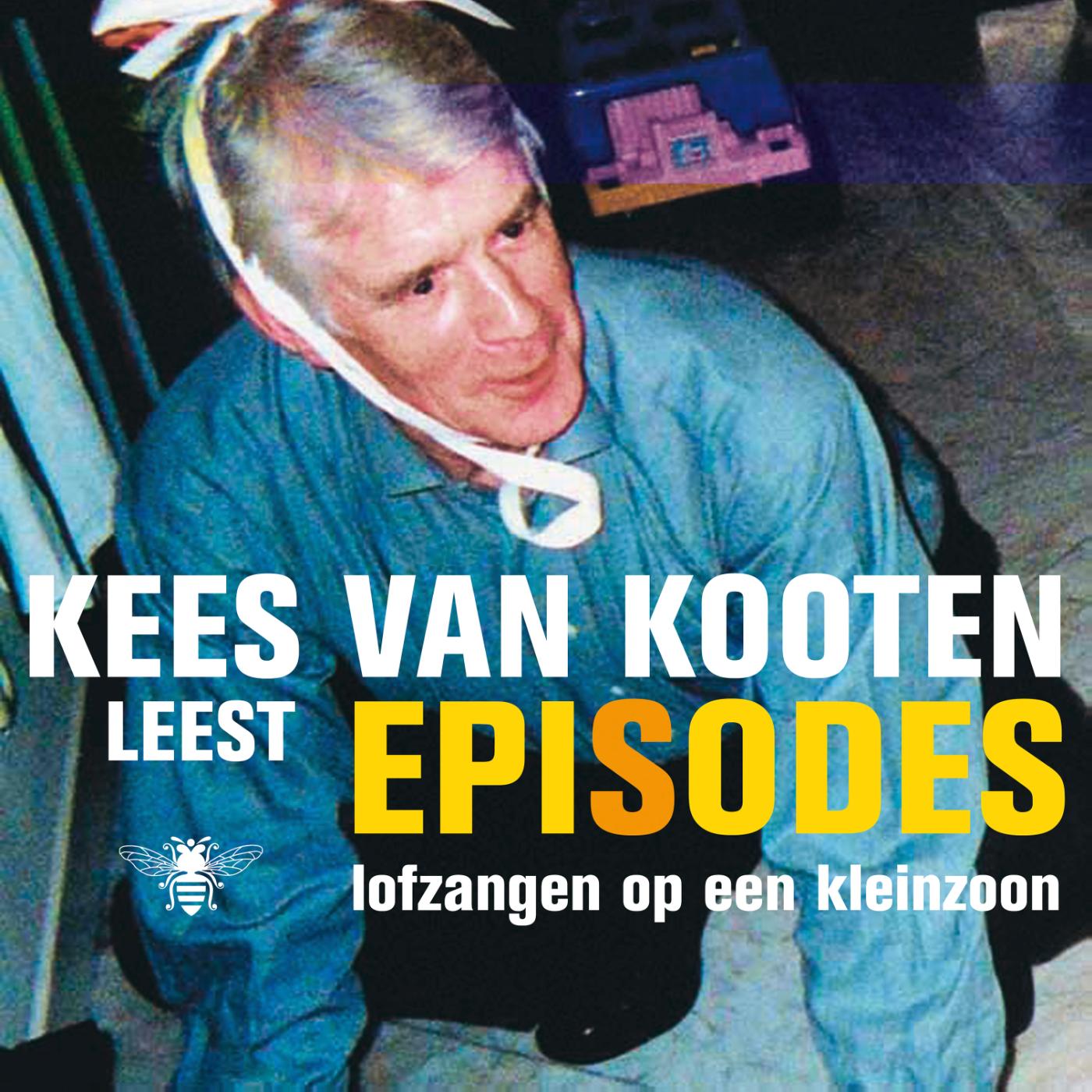 Omslag van Episodes