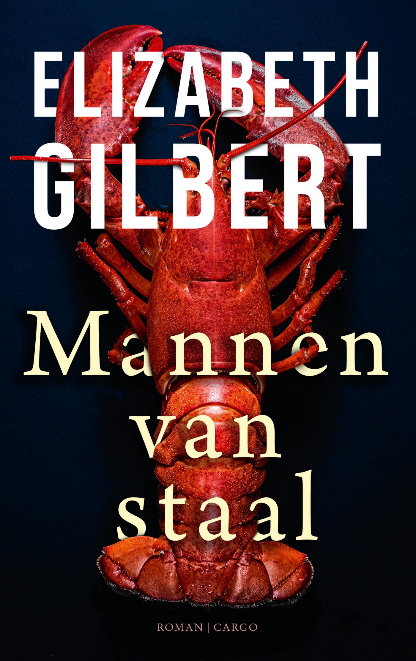 Omslag van Mannen van staal