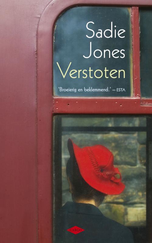 Omslag van Verstoten