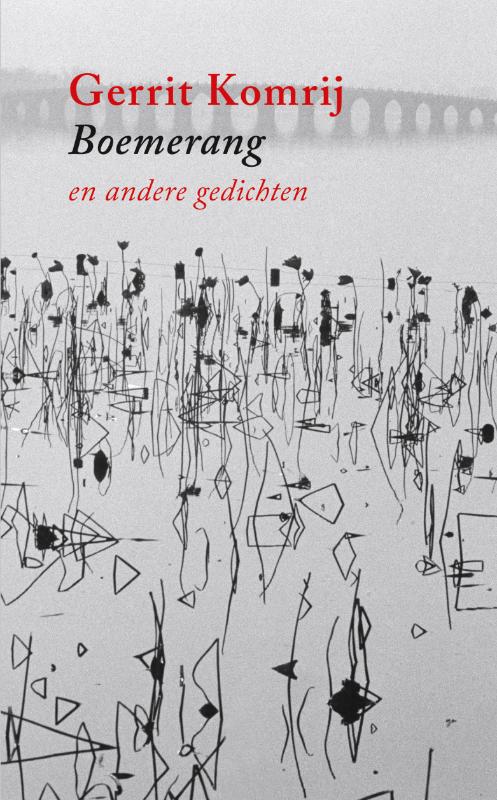 Omslag van Boemerang en andere gedichten