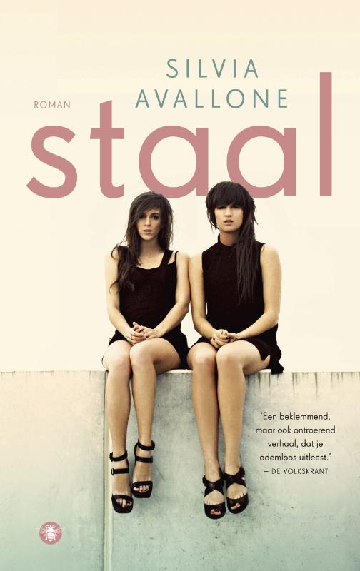Omslag van Staal