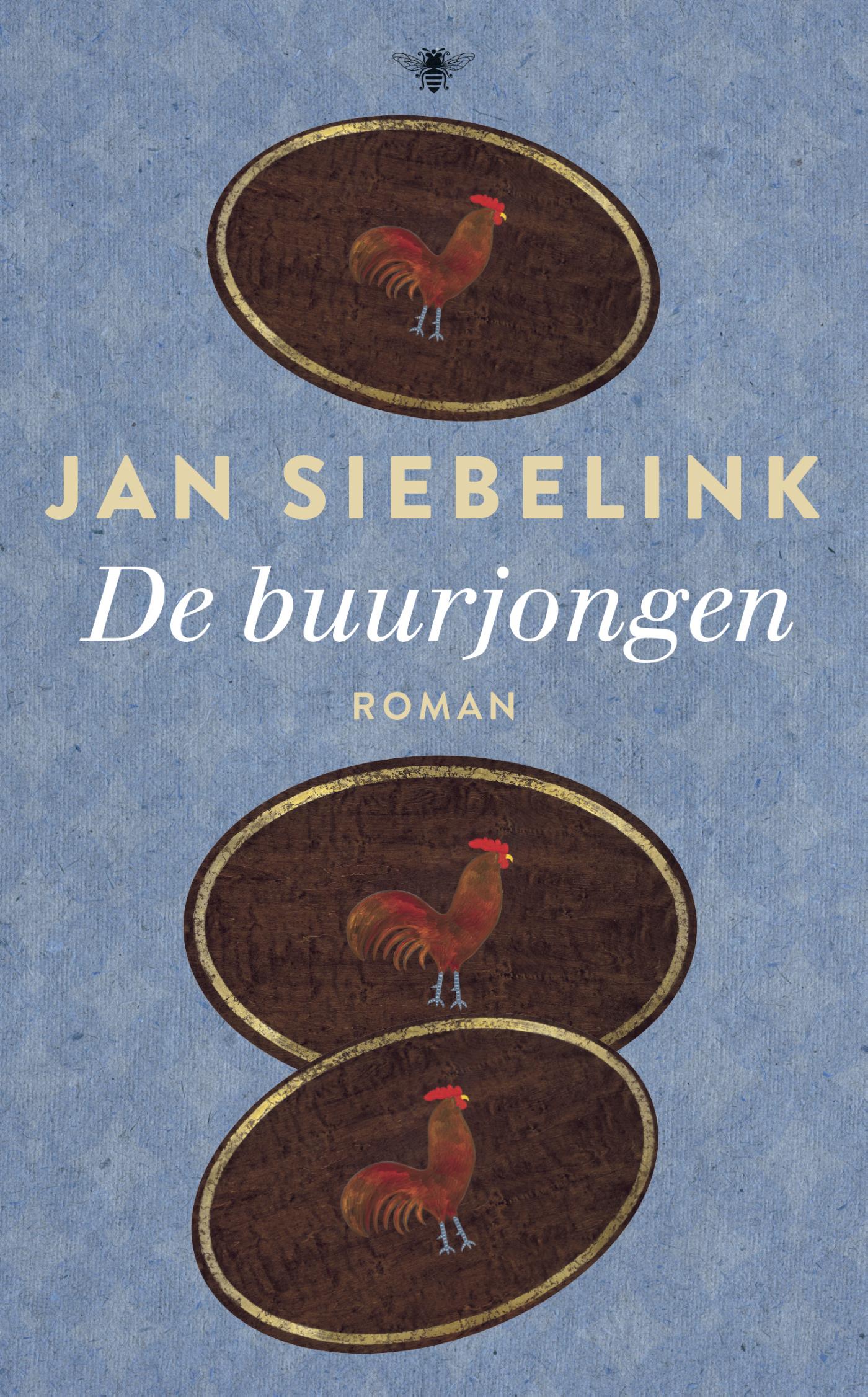 Omslag van De buurjongen