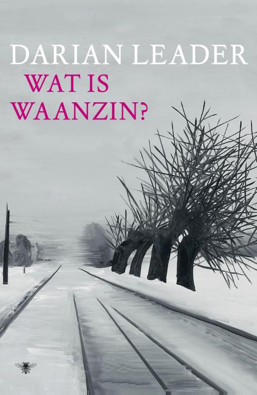 Omslag van Wat is waanzin