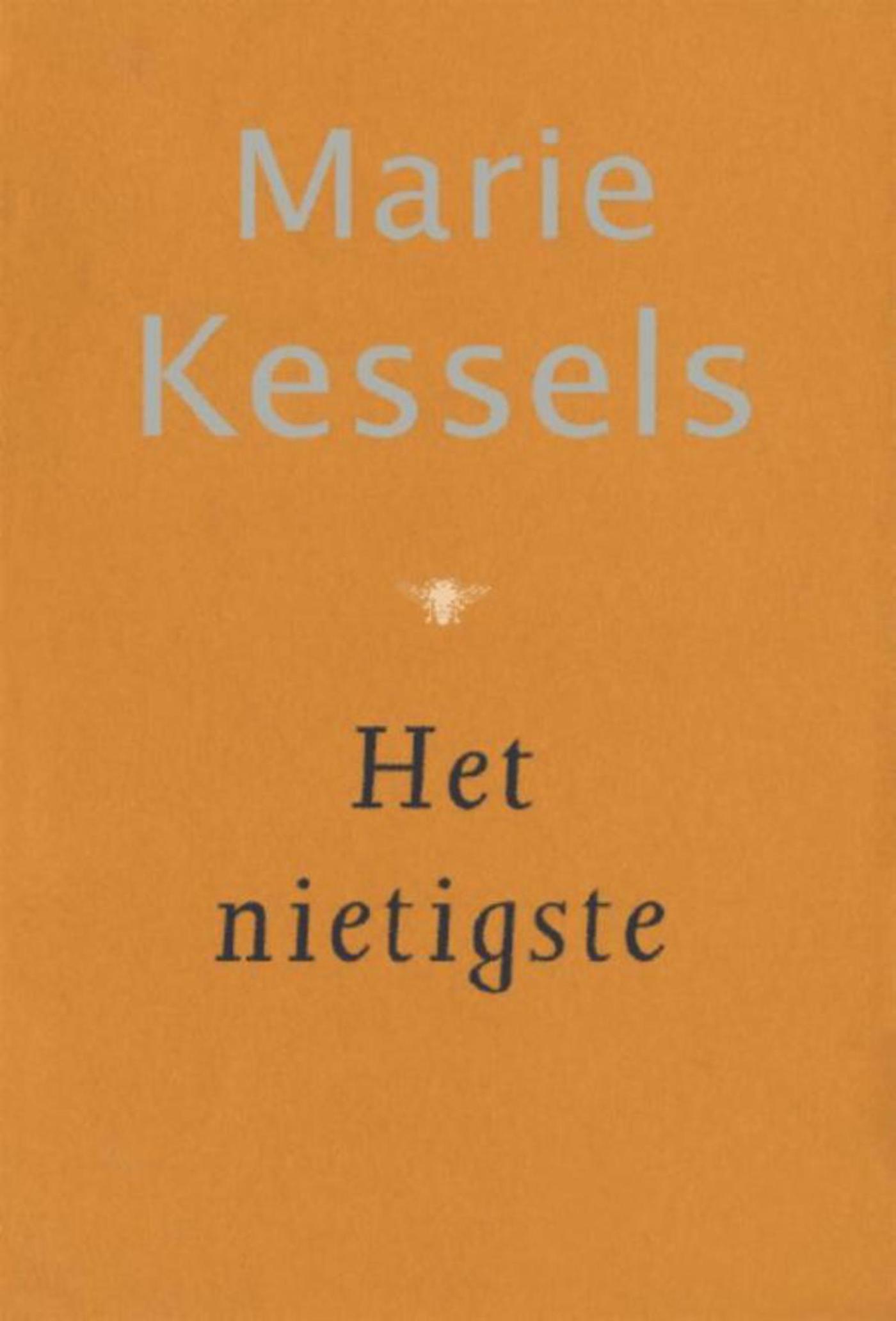 Omslag van Het nietigste