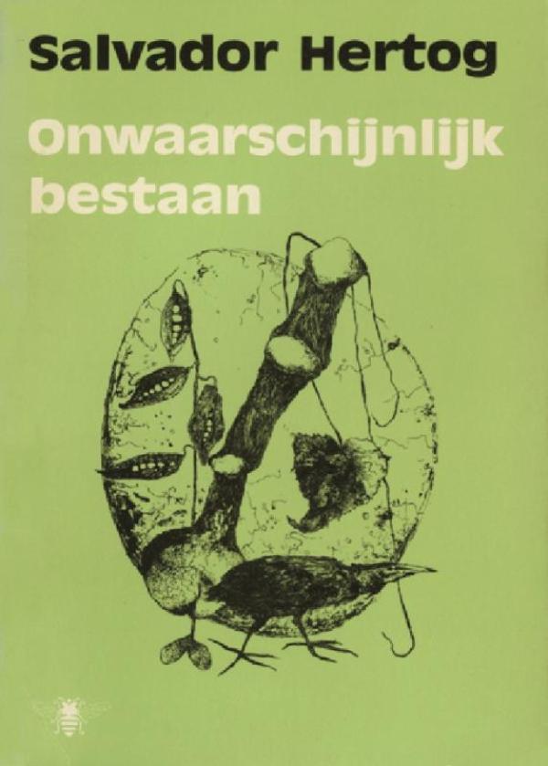 Omslag van Onwaarschijnlijk bestaan