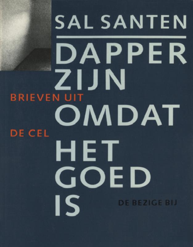 Omslag van Dapper zijn omdat het goed is