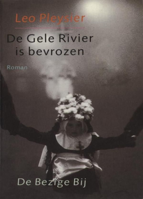Omslag van De gele rivier is bevrozen
