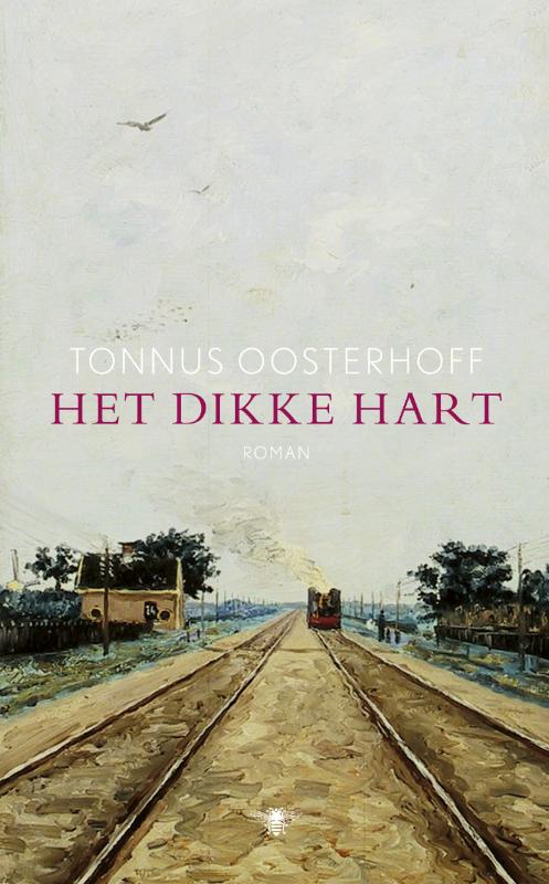 Omslag van Het dikke hart