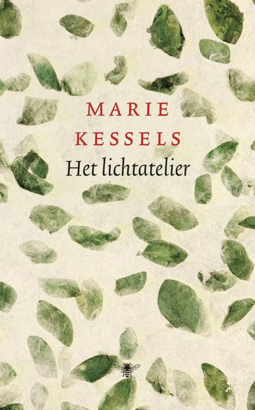 Omslag van Het lichtatelier