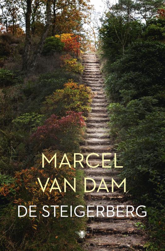Omslag van De steigerberg