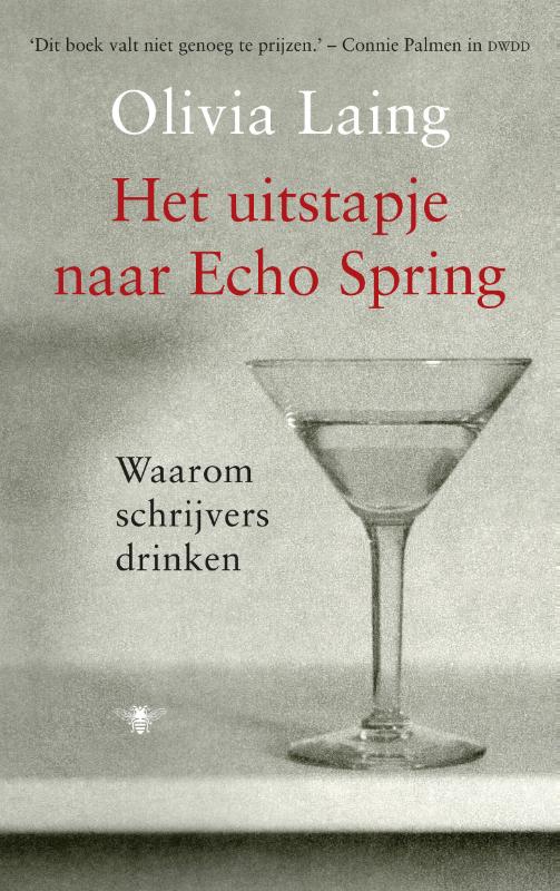Omslag van Het uitstapje naar Echo Spring