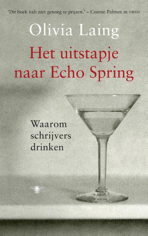 Omslag van Het uitstapje naar Echo Spring