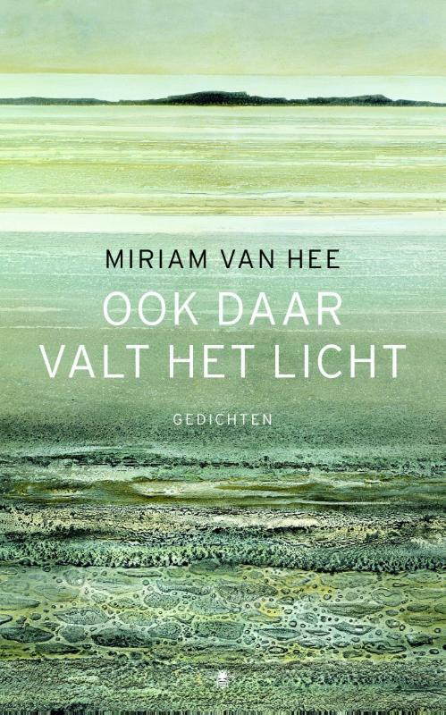 Omslag van Ook daar valt het licht