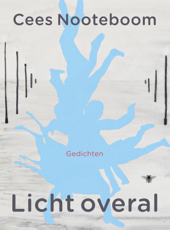 Omslag van Licht overal