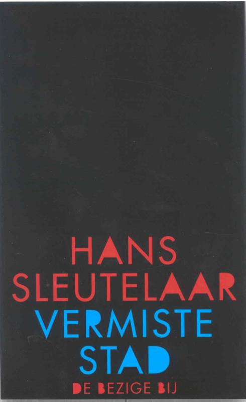 Omslag van Vermiste stad