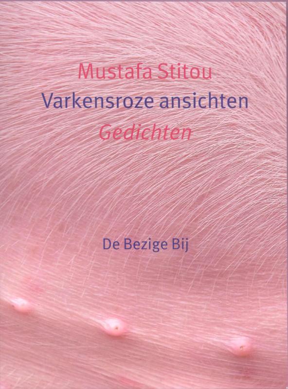 Omslag van Varkensroze ansichten