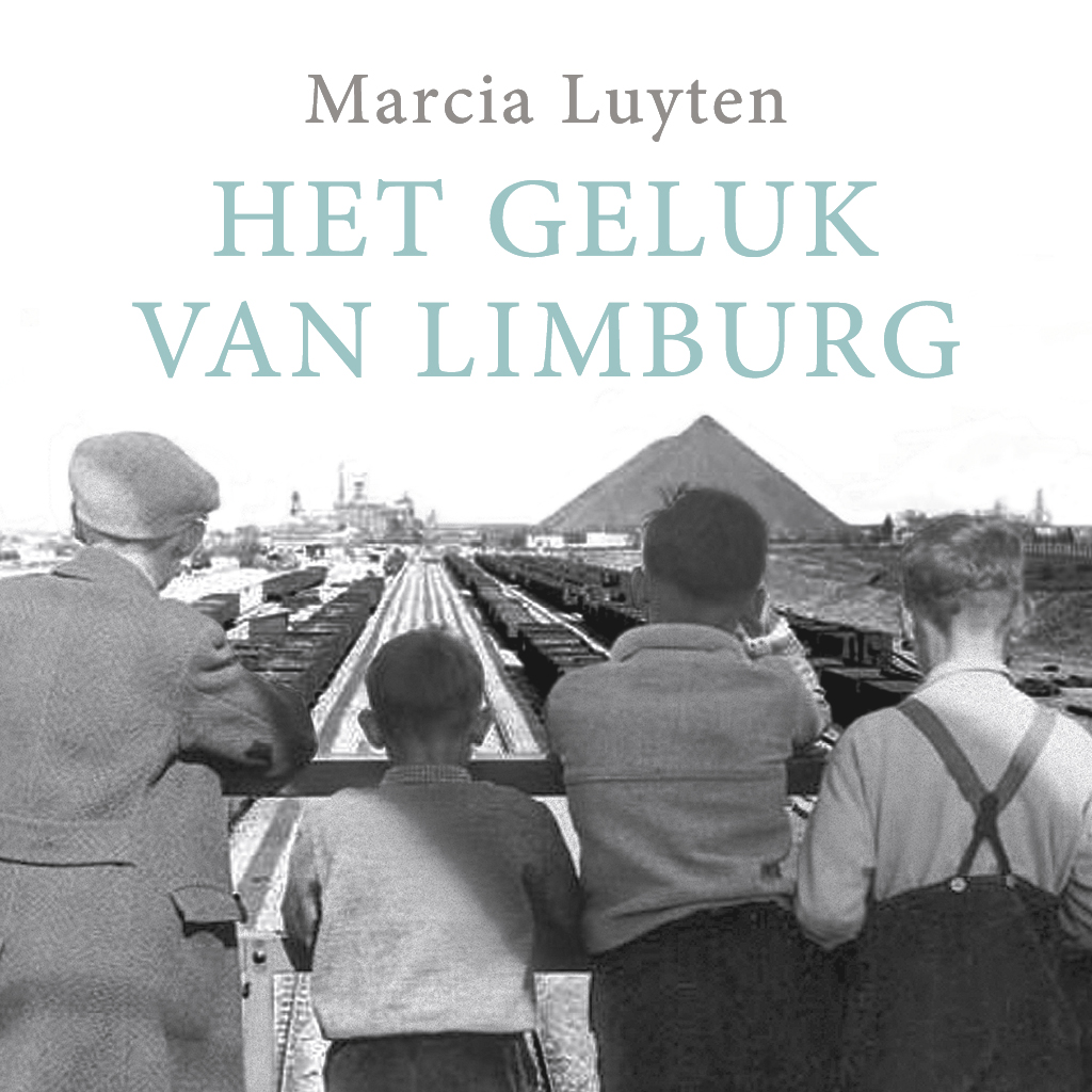 Omslag van Het geluk van Limburg