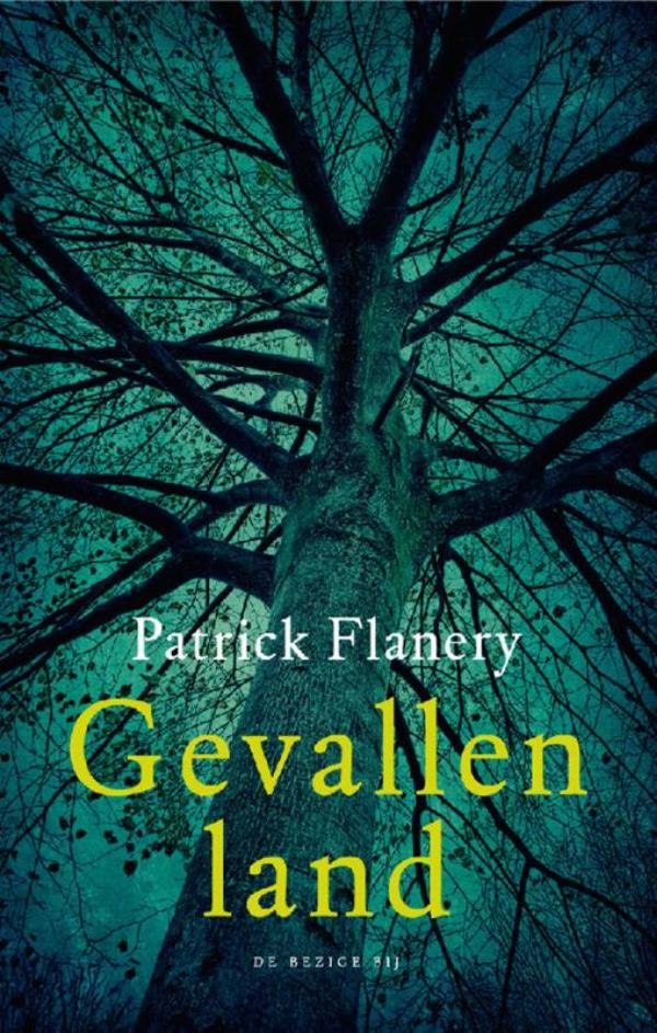 Omslag van Gevallen land
