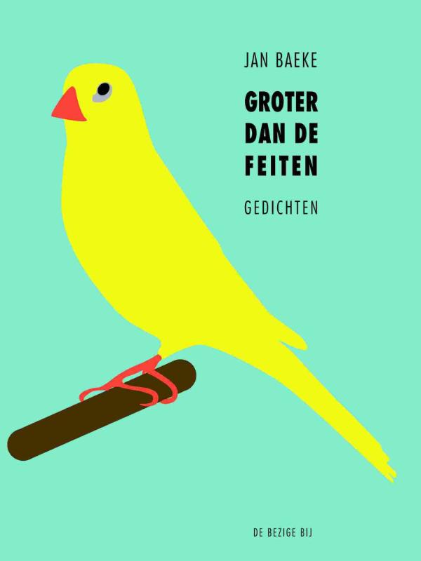 Omslag van Groter dan de feiten