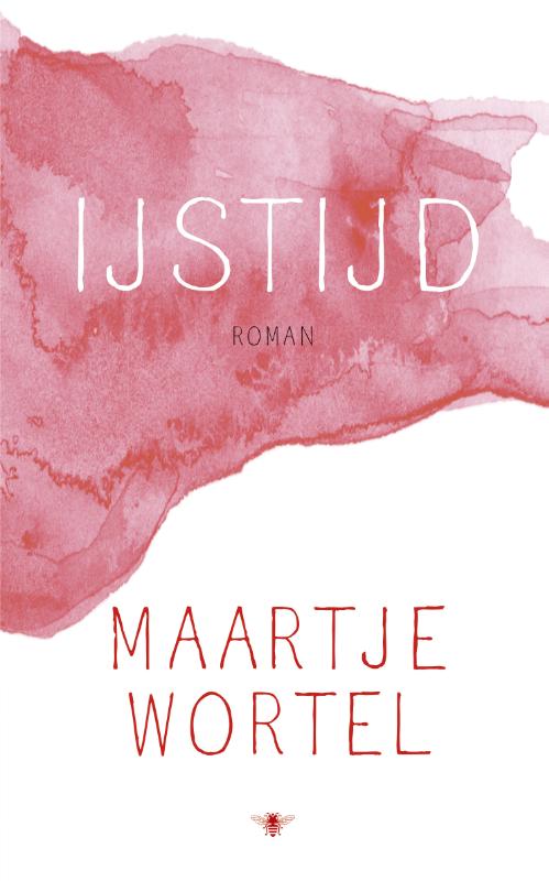 Omslag van IJstijd
