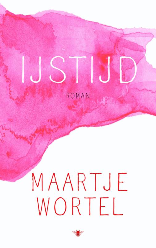 Omslag van IJstijd