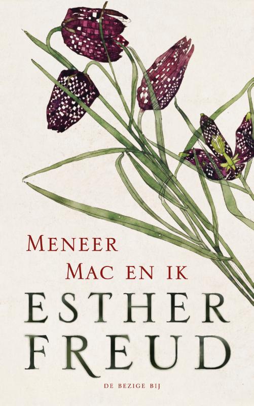 Omslag van Meneer Mac en ik