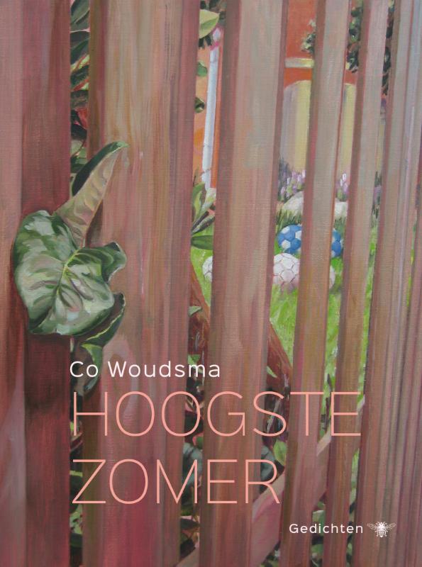 Omslag van Hoogste zomer