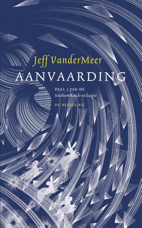 Omslag van Aanvaarding