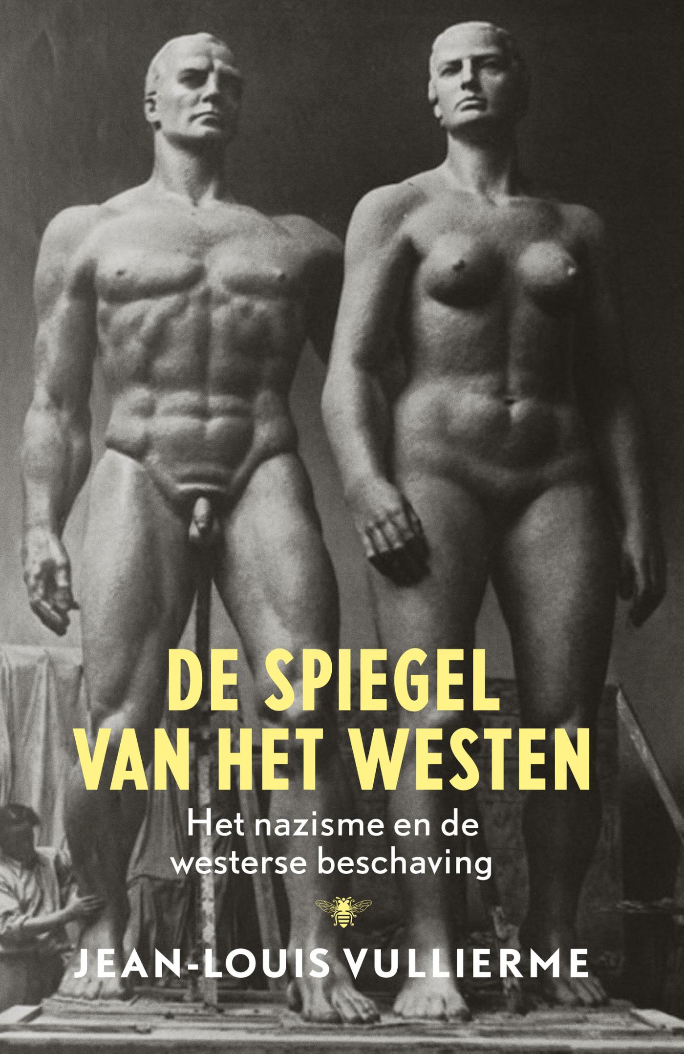 Omslag van De spiegel van het westen
