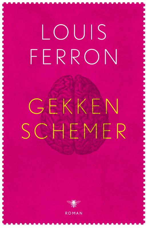 Omslag van Gekkenschemer