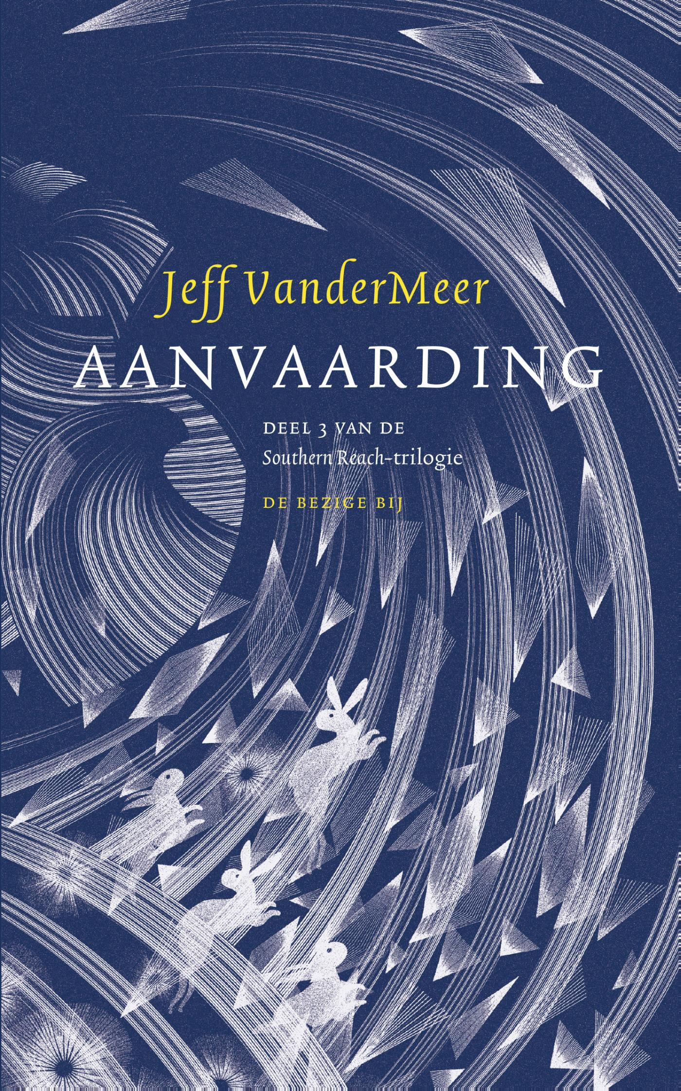 Omslag van Aanvaarding