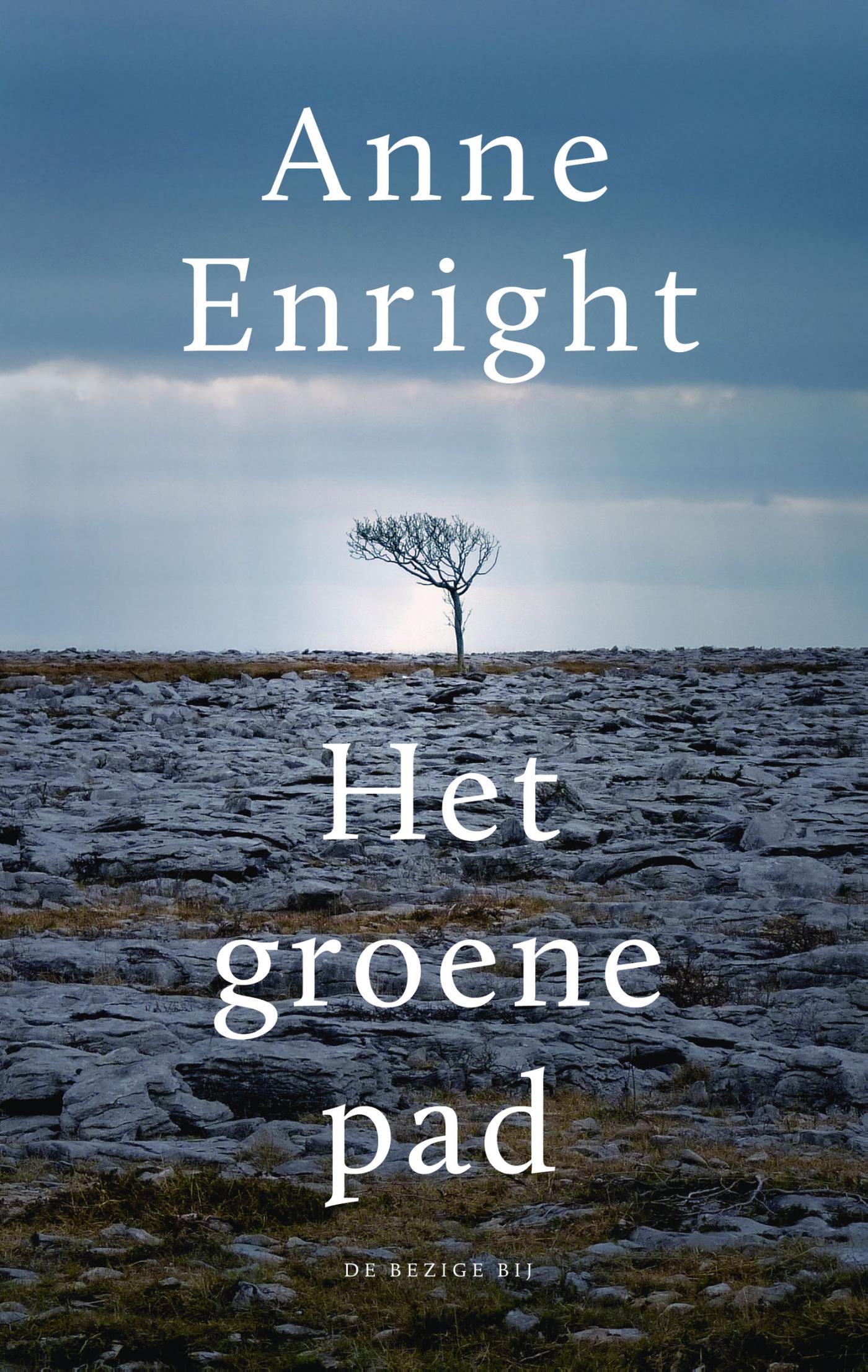Omslag van Het groene pad