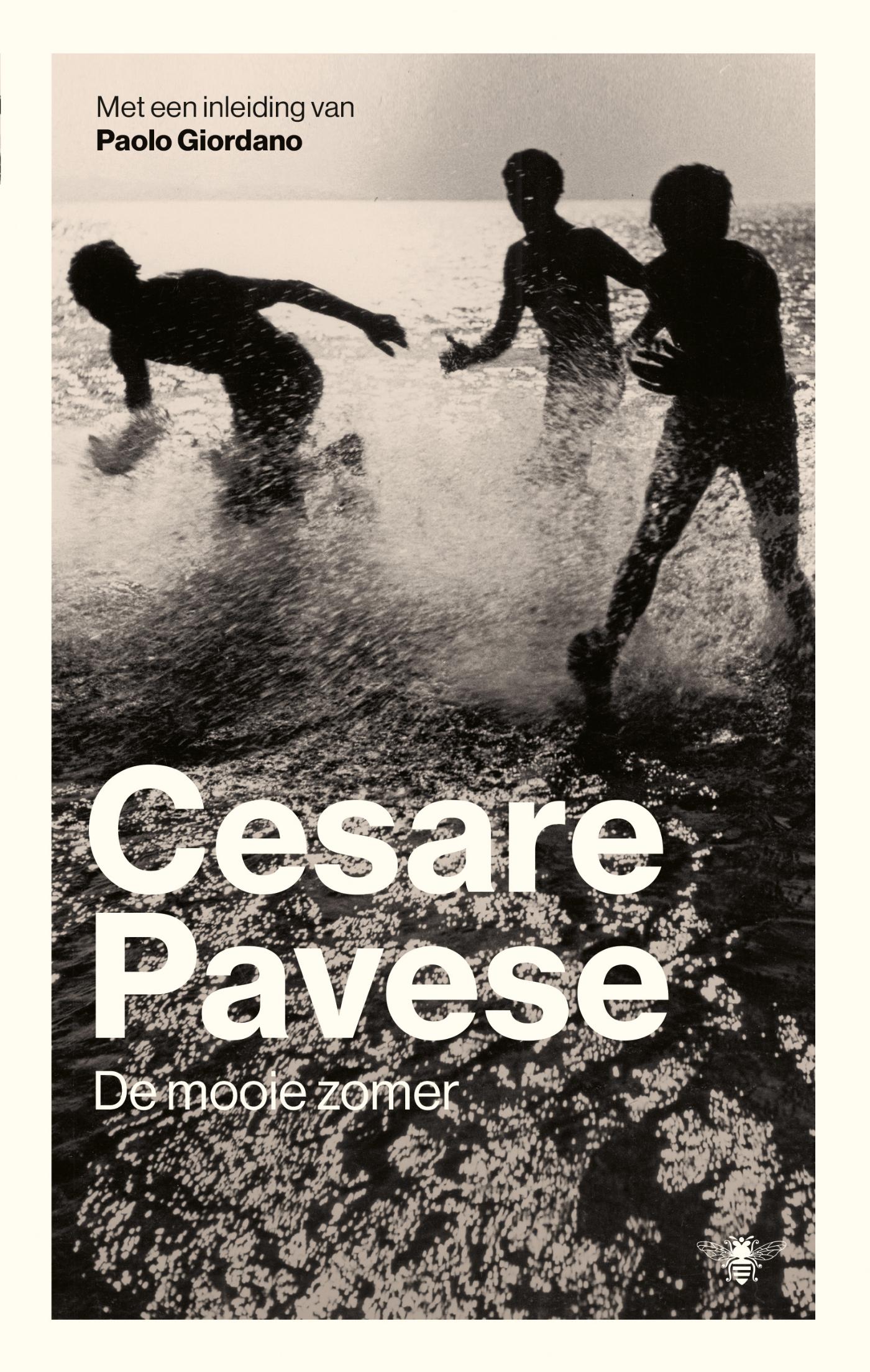 Omslag van De mooie zomer