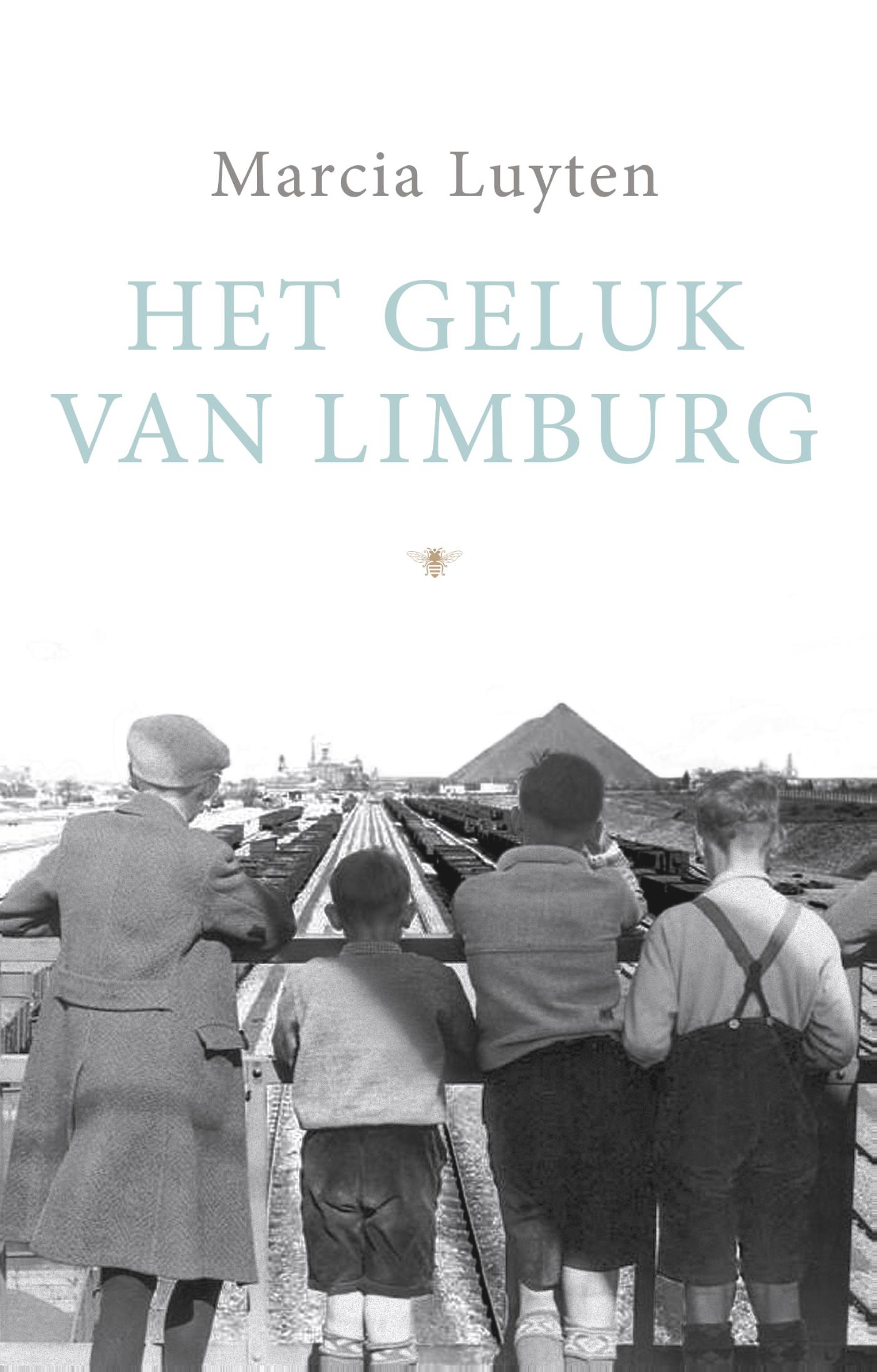 Omslag van Het geluk van Limburg
