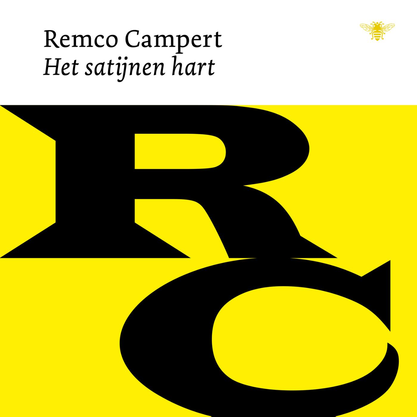 Omslag van Het satijnen hart