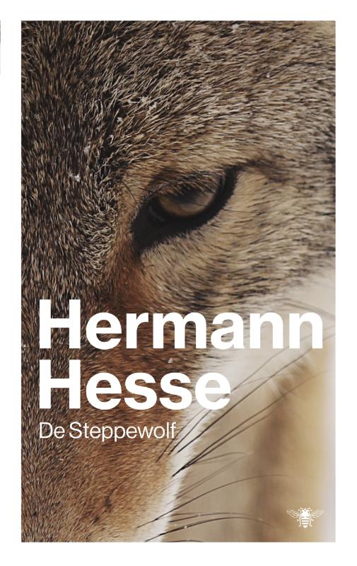 Omslag van Steppewolf