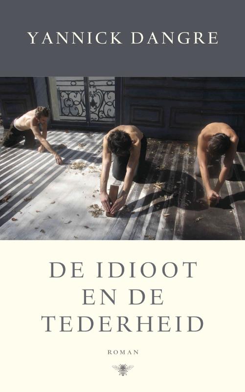 Omslag van De idioot en de tederheid