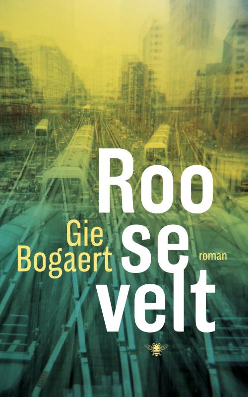 Omslag van Roosevelt