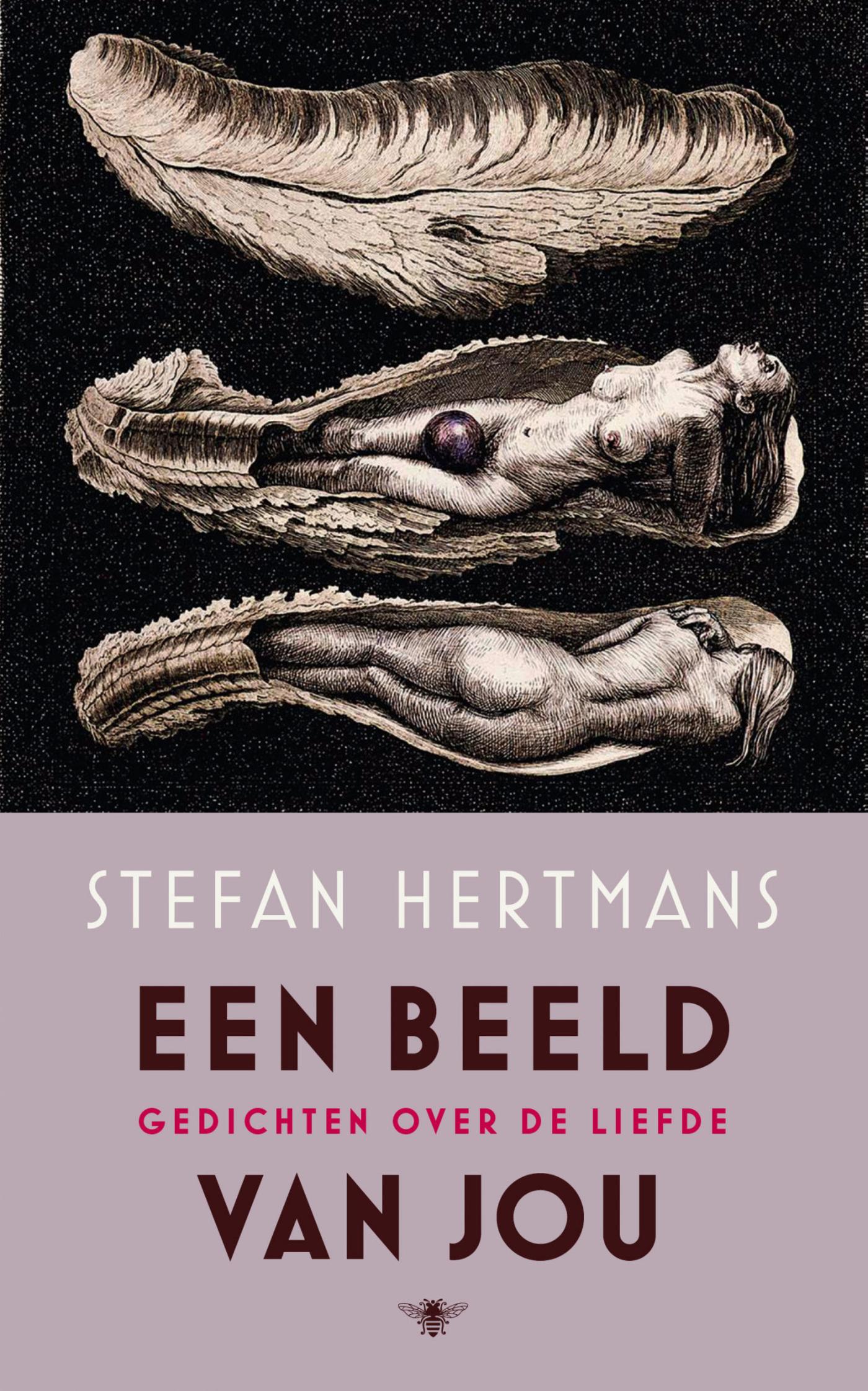 Omslag van Een beeld van jou