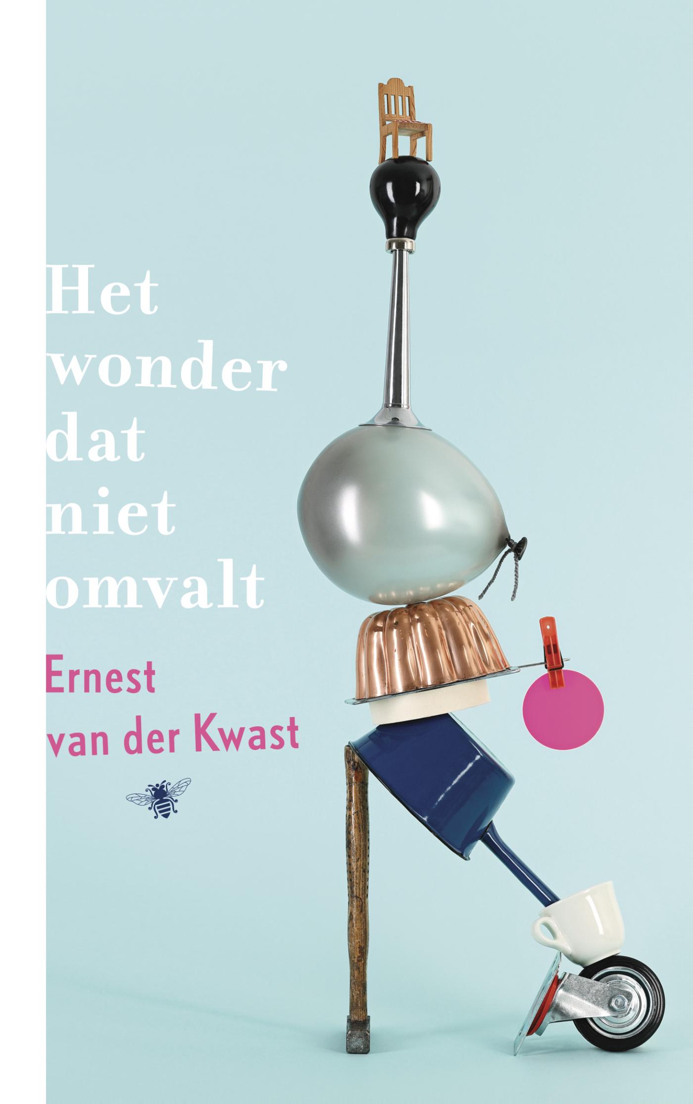 Omslag van Het wonder dat niet omvalt