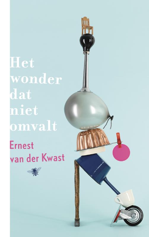 Omslag van Het wonder dat niet omvalt