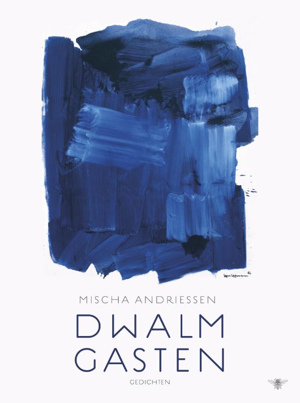 Omslag van Dwalmgasten