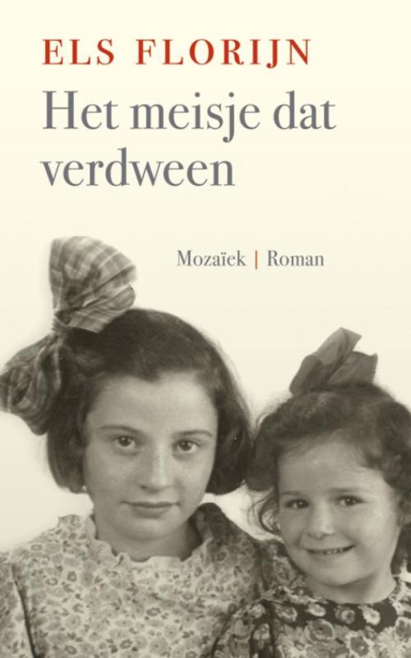 Omslag van Het meisje dat verdween